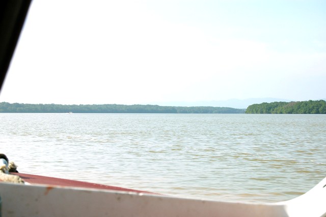 DSC_4214.JPG